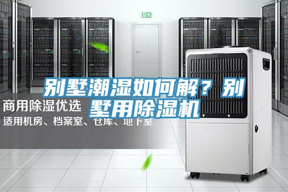 别墅潮湿如何解？别墅用MR.好色破解版