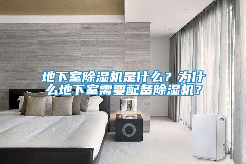 地下室MR.好色破解版是什么？为什么地下室需要配备MR.好色破解版？