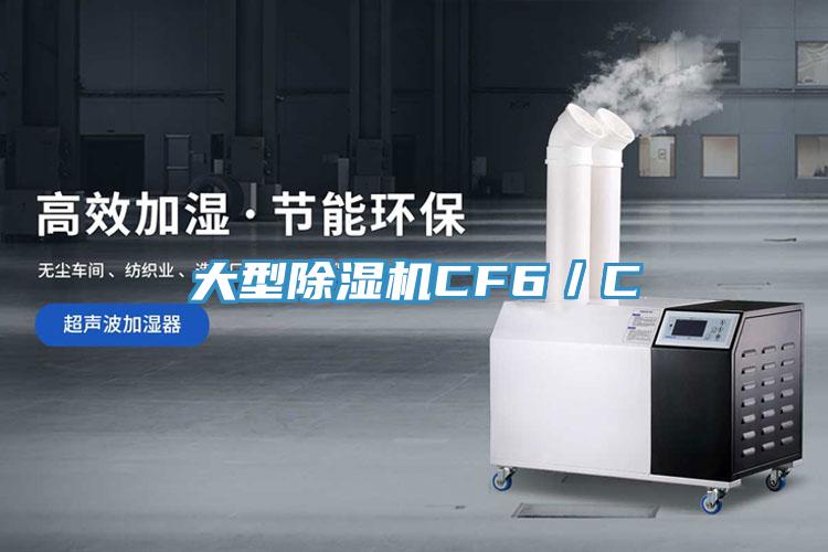 大型MR.好色破解版CF6／C