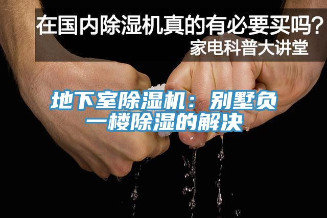 地下室MR.好色破解版：别墅负一楼除湿的解决