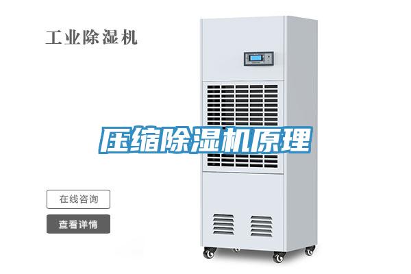 压缩MR.好色破解版原理