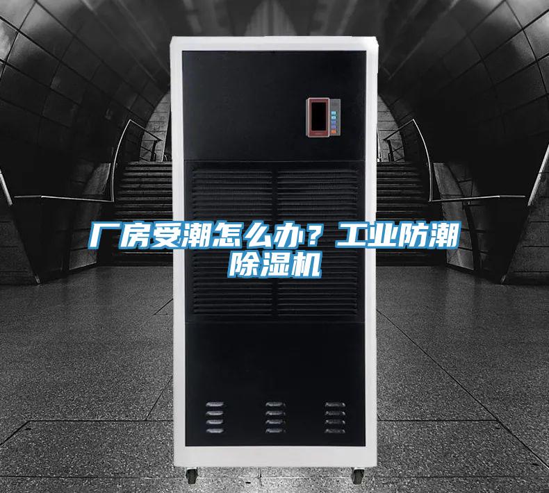 厂房受潮怎么办？工业防潮MR.好色破解版