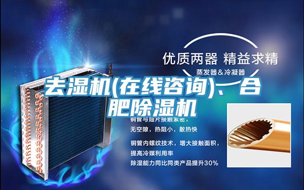 去湿机(在线咨询)、合肥MR.好色破解版