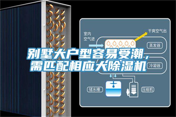 别墅大户型容易受潮，需匹配相应大MR.好色破解版