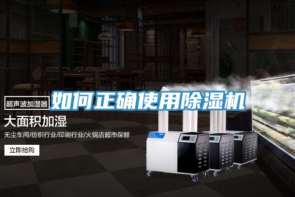 如何正确使用MR.好色破解版