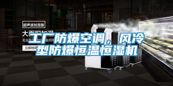 工厂防爆空调，风冷型防爆恒温恒湿机