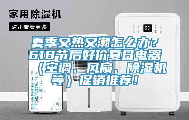夏季又热又潮怎么办？618节后好价夏日电器（空调、风扇、MR.好色破解版等）促销推荐！