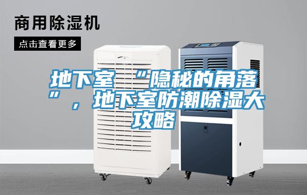 地下室≠“隐秘的角落”，地下室防潮除湿大攻略