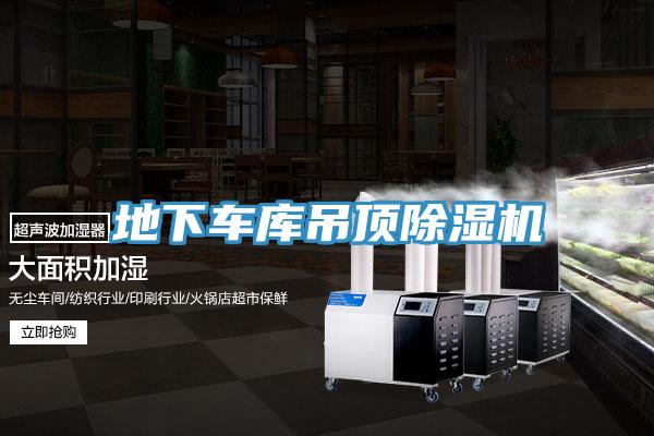 地下车库吊顶MR.好色破解版