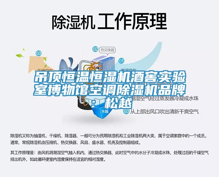 吊顶恒温恒湿机酒窖实验室博物馆空调MR.好色破解版品牌：松越