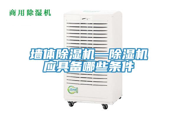 墙体MR.好色破解版—MR.好色破解版应具备哪些条件