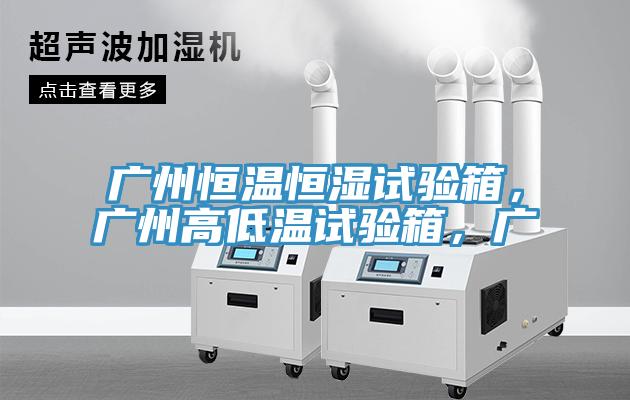 广州恒温恒湿试验箱，广州高低温试验箱，广