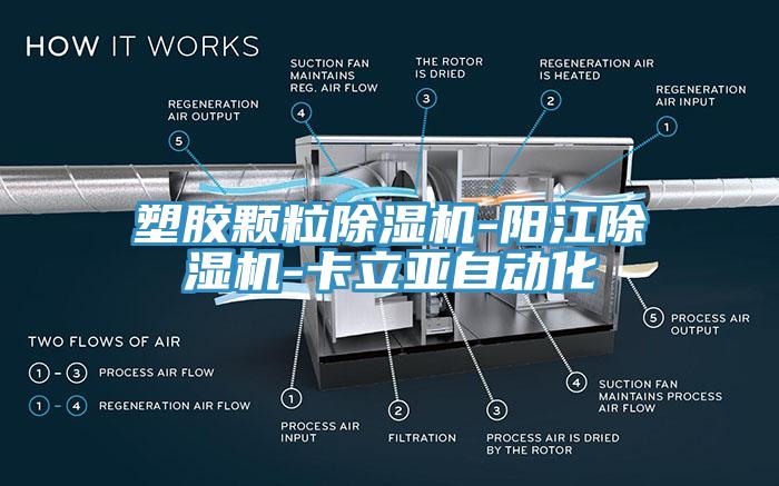 塑胶颗粒MR.好色破解版-阳江MR.好色破解版-卡立亚自动化