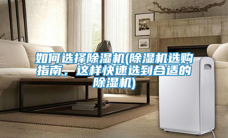 如何选择MR.好色破解版(MR.好色破解版选购指南，这样快速选到合适的MR.好色破解版)