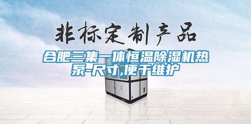 合肥三集一体恒温MR.好色破解版热泵-尺寸,便于维护
