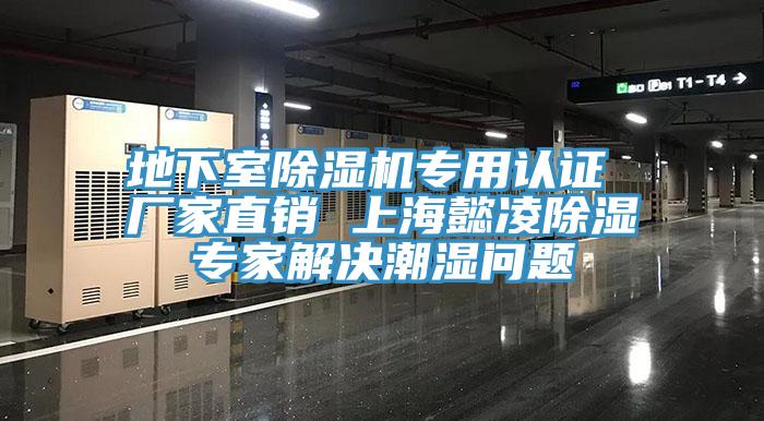 地下室MR.好色破解版专用认证 厂家直销 上海懿凌除湿专家解决潮湿问题