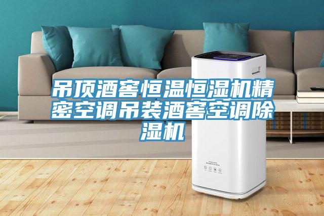 吊顶酒窖恒温恒湿机精密空调吊装酒窖空调MR.好色破解版