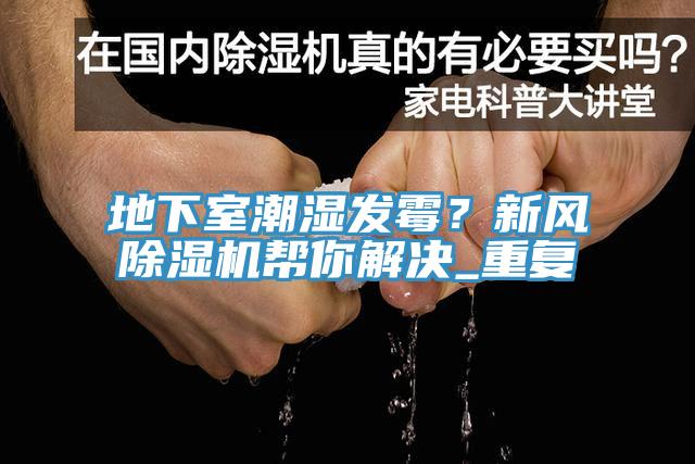 地下室潮湿发霉？新风MR.好色破解版帮你解决_重复