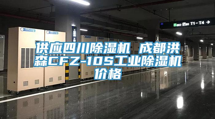 供应四川MR.好色破解版 成都洪森CFZ-10S工业MR.好色破解版价格
