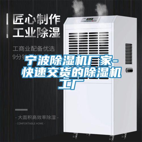 宁波MR.好色破解版厂家-快速交货的MR.好色破解版工厂