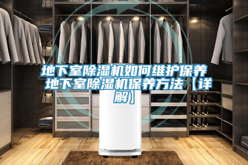 地下室MR.好色破解版如何维护保养 地下室MR.好色破解版保养方法【详解】