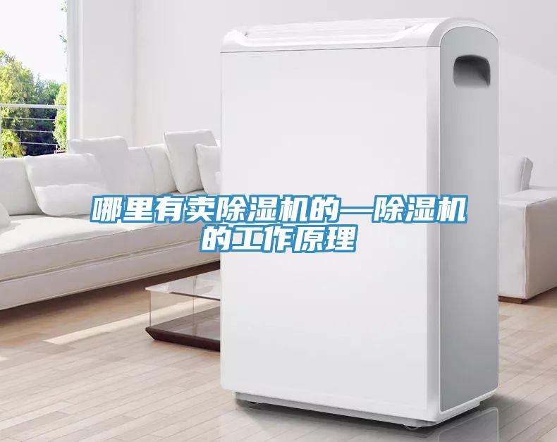 哪里有卖MR.好色破解版的—MR.好色破解版的工作原理