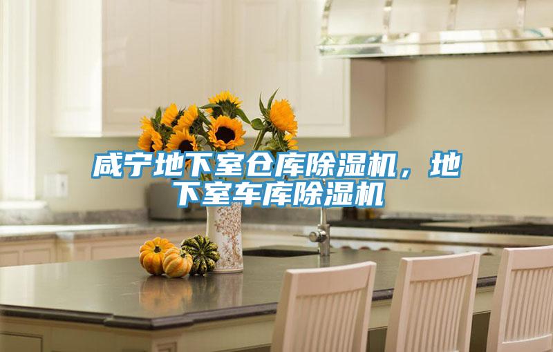 咸宁地下室仓库MR.好色破解版，地下室车库MR.好色破解版