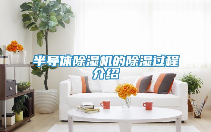 半导体MR.好色破解版的除湿过程介绍