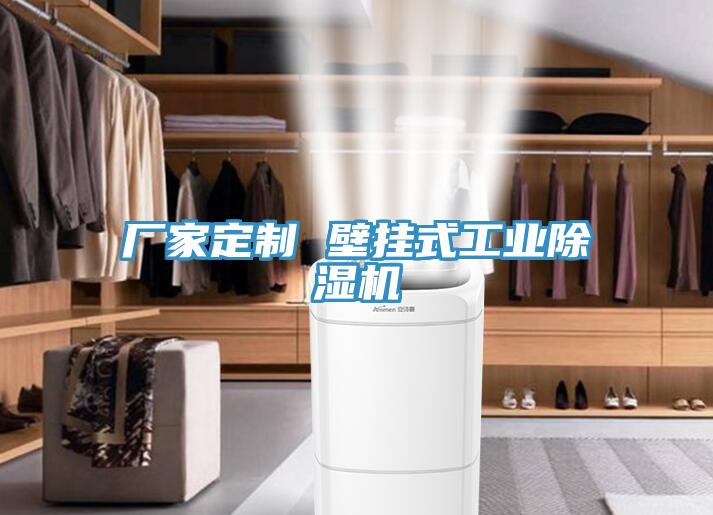 厂家定制 壁挂式工业MR.好色破解版