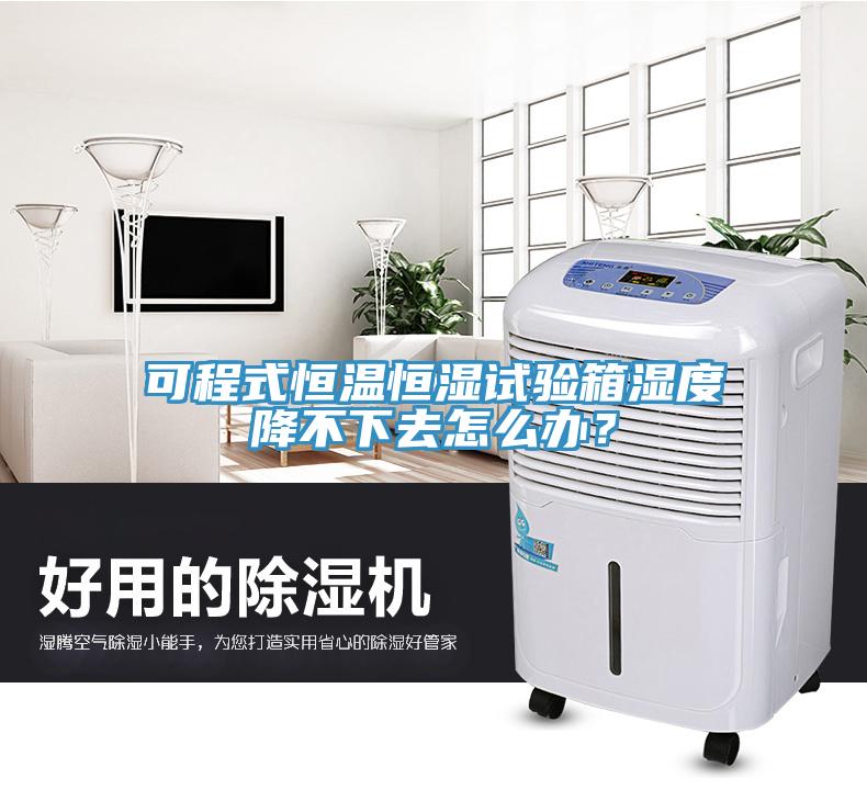 可程式恒温恒湿试验箱湿度降不下去怎么办？