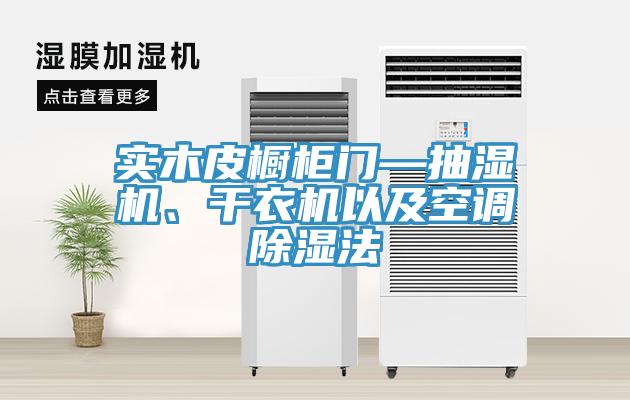 实木皮橱柜门—抽湿机、干衣机以及空调除湿法