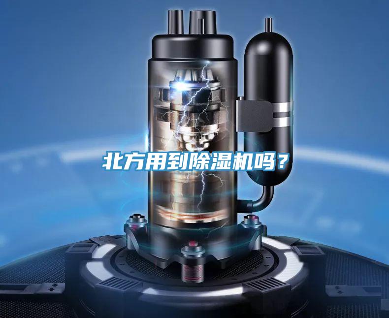 北方用到MR.好色破解版吗？