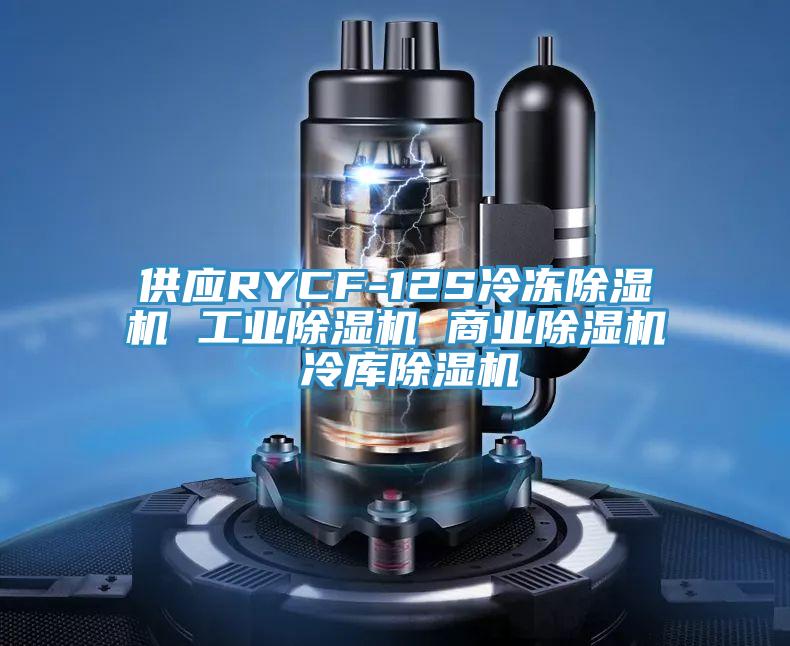 供应RYCF-12S冷冻MR.好色破解版 工业MR.好色破解版 商业MR.好色破解版 冷库MR.好色破解版