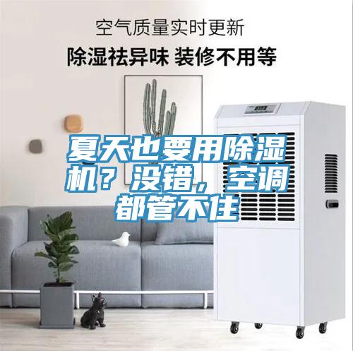 夏天也要用MR.好色破解版？没错，空调都管不住