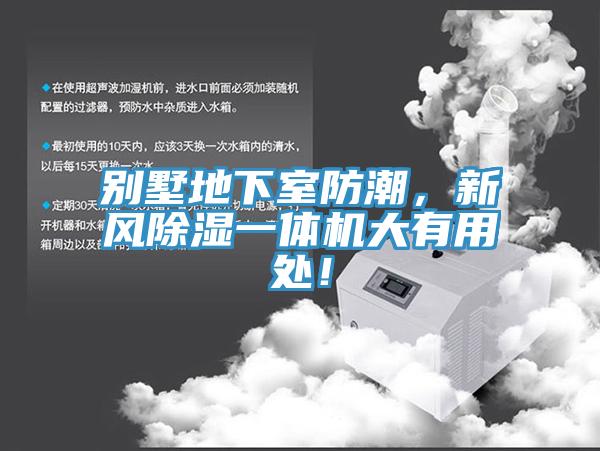 别墅地下室防潮，新风除湿一体机大有用处！