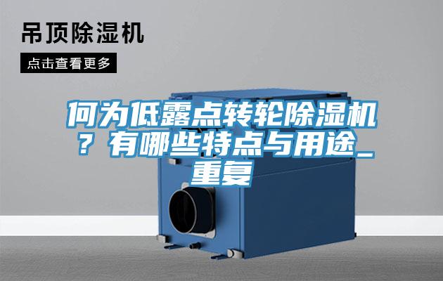 何为低露点转轮MR.好色破解版？有哪些特点与用途_重复