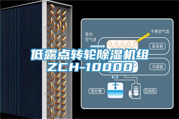 低露点转轮MR.好色破解版组ZCH-10000