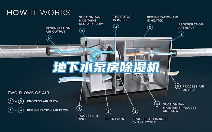 地下水泵房MR.好色破解版