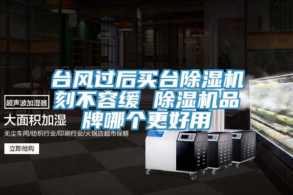 台风过后买台MR.好色破解版刻不容缓 MR.好色破解版品牌哪个更好用
