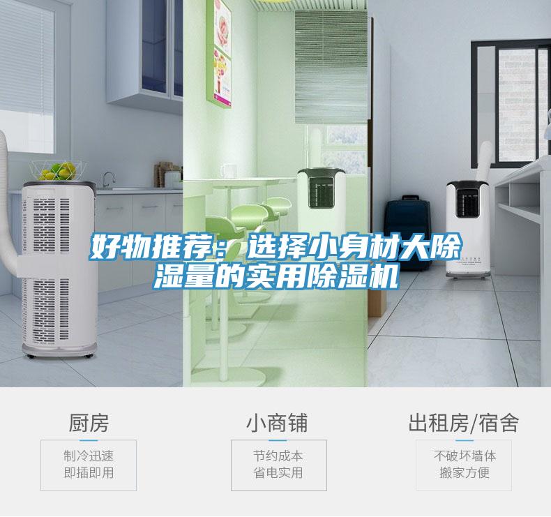 好物推荐：选择小身材大除湿量的实用MR.好色破解版