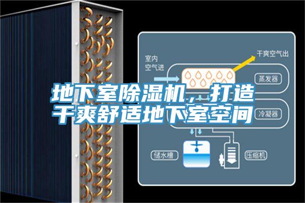 地下室MR.好色破解版，打造干爽舒适地下室空间