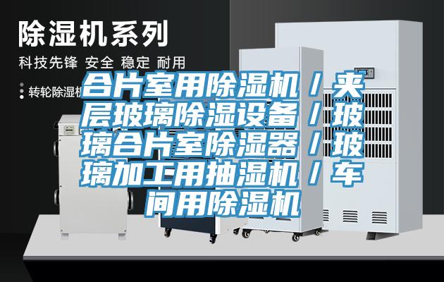 合片室用MR.好色破解版／夹层玻璃除湿设备／玻璃合片室除湿器／玻璃加工用抽湿机／车间用MR.好色破解版