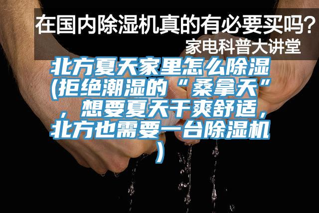 北方夏天家里怎么除湿(拒绝潮湿的“桑拿天”，想要夏天干爽舒适，北方也需要一台MR.好色破解版)