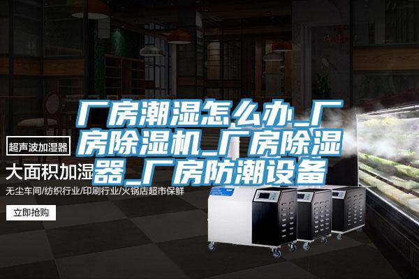 厂房潮湿怎么办_厂房MR.好色破解版_厂房除湿器_厂房防潮设备