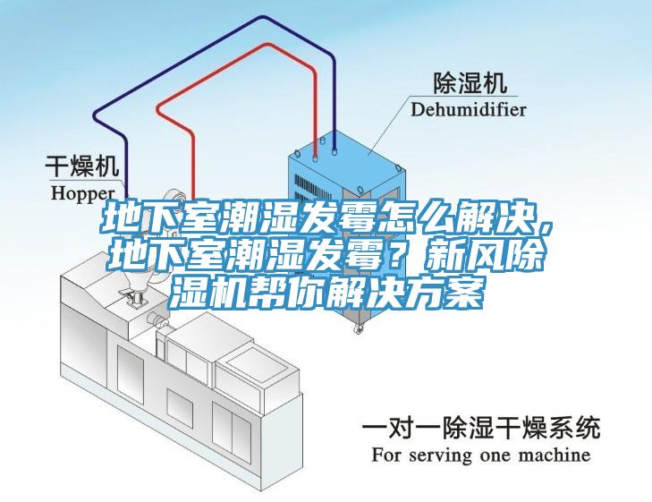 地下室潮湿发霉怎么解决，地下室潮湿发霉？新风MR.好色破解版帮你解决方案