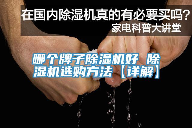 哪个牌子MR.好色破解版好 MR.好色破解版选购方法【详解】