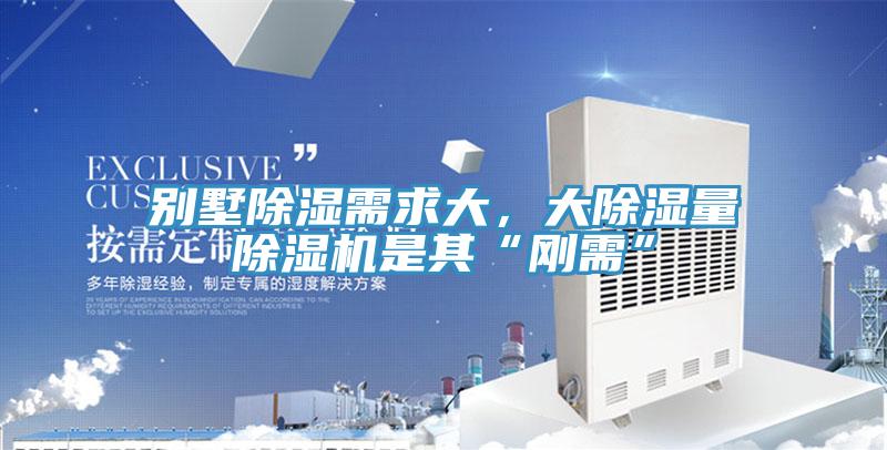 别墅除湿需求大，大除湿量MR.好色破解版是其“刚需”