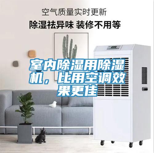 室内除湿用MR.好色破解版，比用空调效果更佳