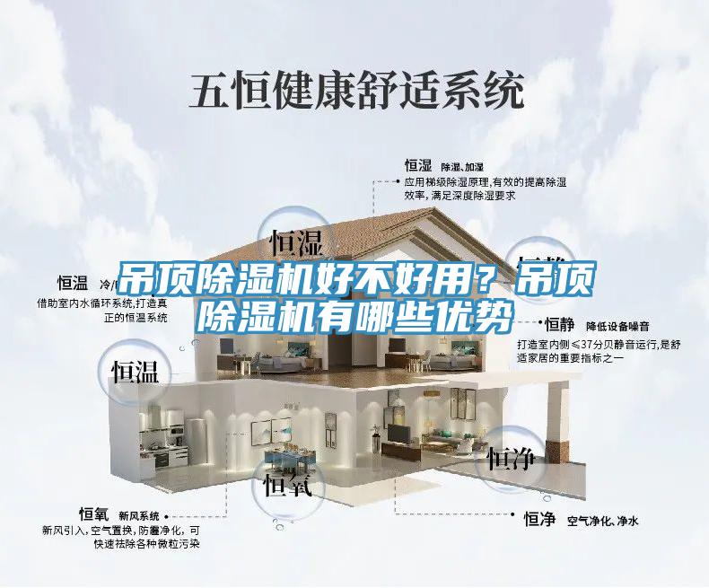 吊顶MR.好色破解版好不好用？吊顶MR.好色破解版有哪些优势