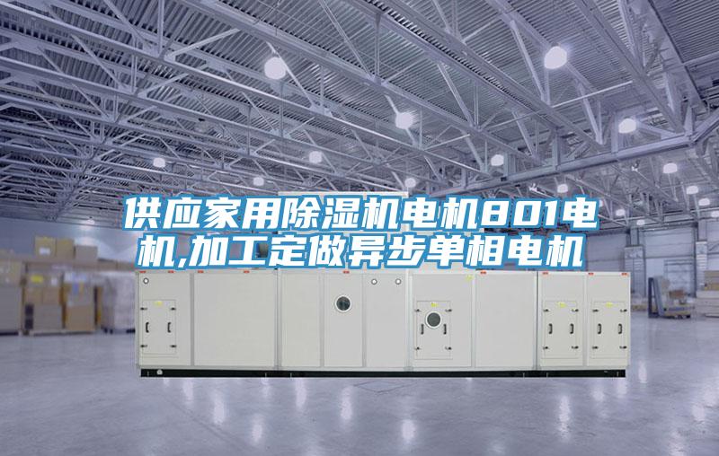 供应家用MR.好色破解版电机801电机,加工定做异步单相电机